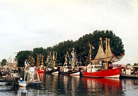 boote.jpg (22984 Byte)