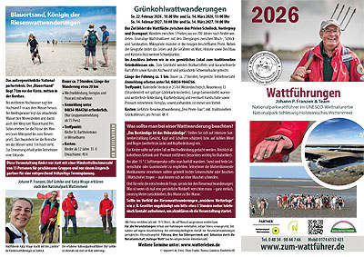watt_flyer25.jpg (86153 Byte)